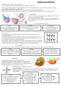 Biologia PROTEINE