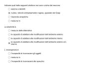 paniere emozioni gennaio 2025 iacobacci svolto da simone