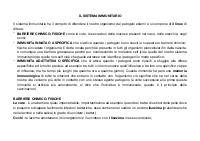 Breve sinstesi sul sistema immunitario
