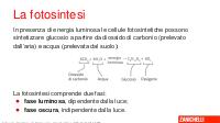 Metabolismo terza parte