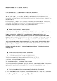 riassunto organizzazione internzionale