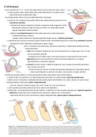 ANATOMIA II (2° PARTE)
