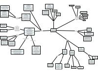schema apparato respiratorio