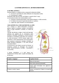 APPUNTI SEMPLICI DEL SISTEMA LINFATICO E SISTEMA IMMUNITARIO FATTO PER LE CLASSI SUPERIORI