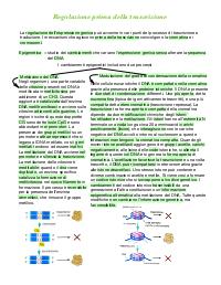 Biotecnologie, geni e regolazione