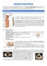 Appunti anatomia/biologia e istologia completi