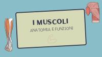 Power point "Muscoli"