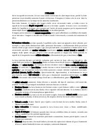 vulcani, terremoti e interno della Terra