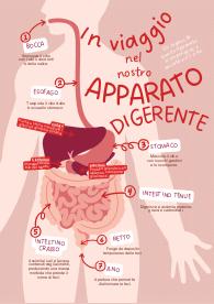 Presentazione sull'apparato digerente