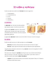 Appunti di Biologia, Il sistema endocrino