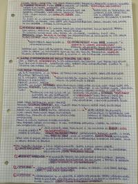 COMUNICAZIONE E SOCIETÀ DI MASSA (parte5)