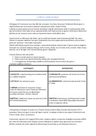 La prima guerra mondiale - storia