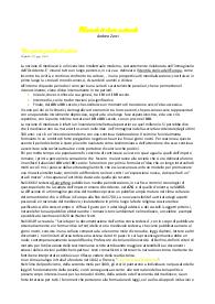 Riassunto "Manuale di storia medievale" di Andrea Zorzi, Sintesi del corso di Storia Medievale