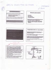 Analisi Biochimico Cliniche - L'omeostasi del glucosio