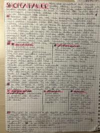 appunti di filosofia su Shopenhauer, 5 superiore