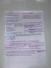 appunti sulle scuole nuove