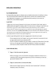 Respirazione cellulare - Maria Chiara Pacelli