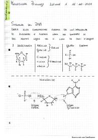 Appunti Biologia Molecolare con integrazione da dispense del professore