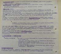SOCIOLOGIA E ANTROPOLOGIA URBANA (parte2)