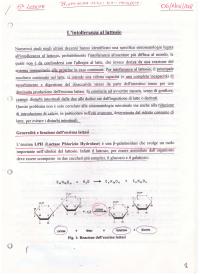 Biochimica degli stati patologici - Intolleranza al lattosio.
