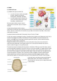 Appunti di anatomia dell'apparato locomotore per TNPEE Unimi