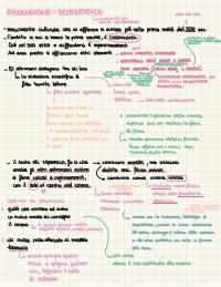 Appunti sulla rivoluzione scientifica ( filosofia)