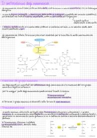 appunti metabolismo amminoacidi