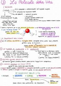 Schemi su acqua, glucidi, lipidi, proteine e acidi nucleici