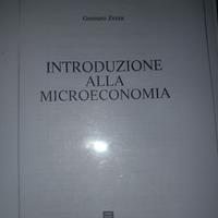 Riassunto di Microeconomia 2024