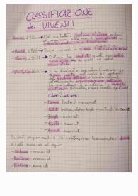 I Microrganismi Eucarioti: Riassunto e Schemi, Schemi e mappe concettuali di Biologia, microbiologia