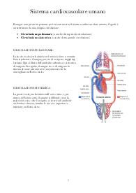 Riassunto Sistema cardiovascolare umano
