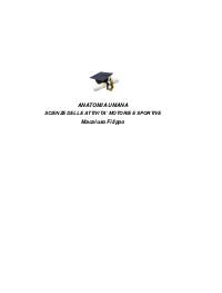 Paniere anatomia 1 anno Ecampus