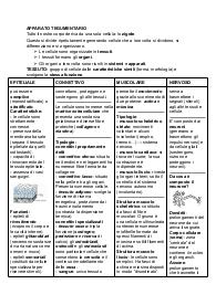 Apparato Tegumentario, Apparato Cardiovascolare, Sistema Linfatico