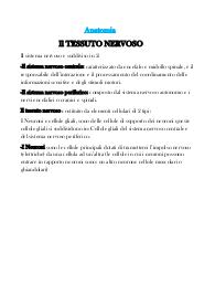 Tessuto nervoso