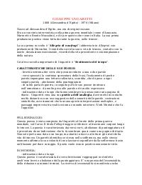 Appunti su vita, poetica e poesie di Giuseppe Ungaretti (contiene collegamenti per maturità)