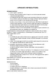 Appunti: Apparato riproduttore