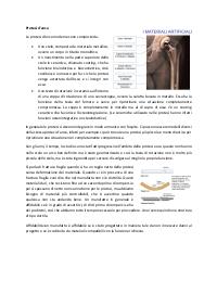 Scienza e Tecnologia dei Materiali