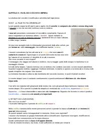 Riassunti libro “imparare - il talento del cervello, la sfida delle macchine”