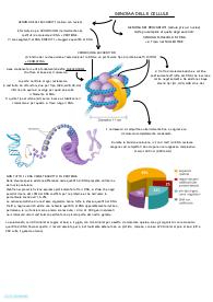 Biologia GENOMA