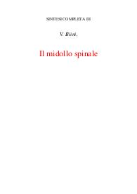 Il midollo spinale
