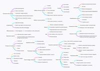 Mappa concettuale 1 di Elementi di anatomia e fisiologia del sistema nervoso