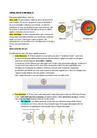 Riassunto di Microbiologia (San Raffaele)
