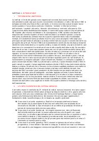 Cervello: anatomia e funzione del sistema nervoso centrale