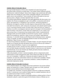 Letteratura latina: dalle forme preletterarie a Terenzio
