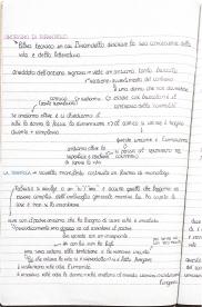 Umorismo di pirandello