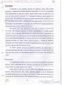 Biochimica degli stati patologici - Lisosoma