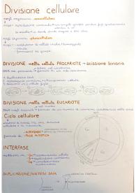 Divisione cellulare: mitosi e meiosi