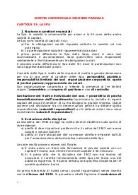 riassunti libro diritto commerciale, cap 13-26