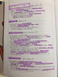 Appunti di Filosofia 2