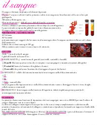 Biologia: Il sangue, appunti